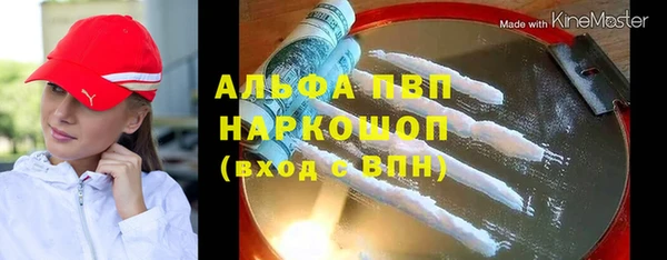 прущие грибы Волосово