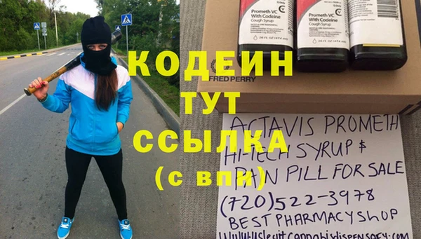 прущие грибы Волосово