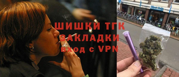 сатива Рославль